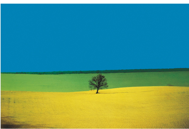 Loreto View - Festival di fotografia del paesaggio - Foto di Franco Fontana Loreto View - Festival di fotografia del paesaggio - Foto di Franco Fontana