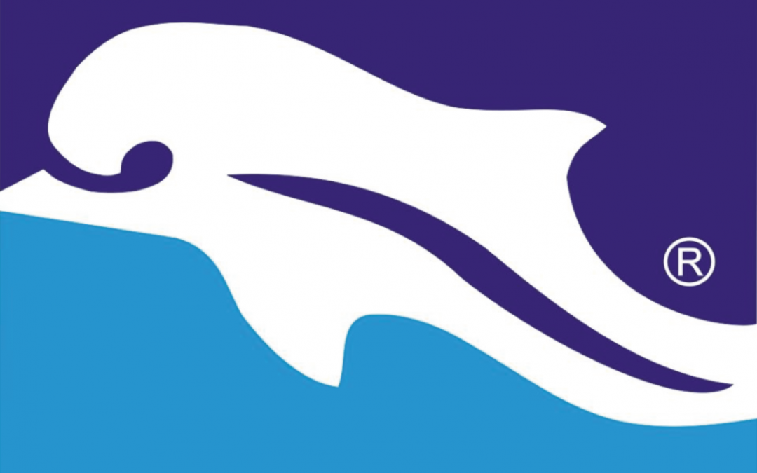 Pescara Calcio