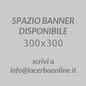 Banner Test (5)
