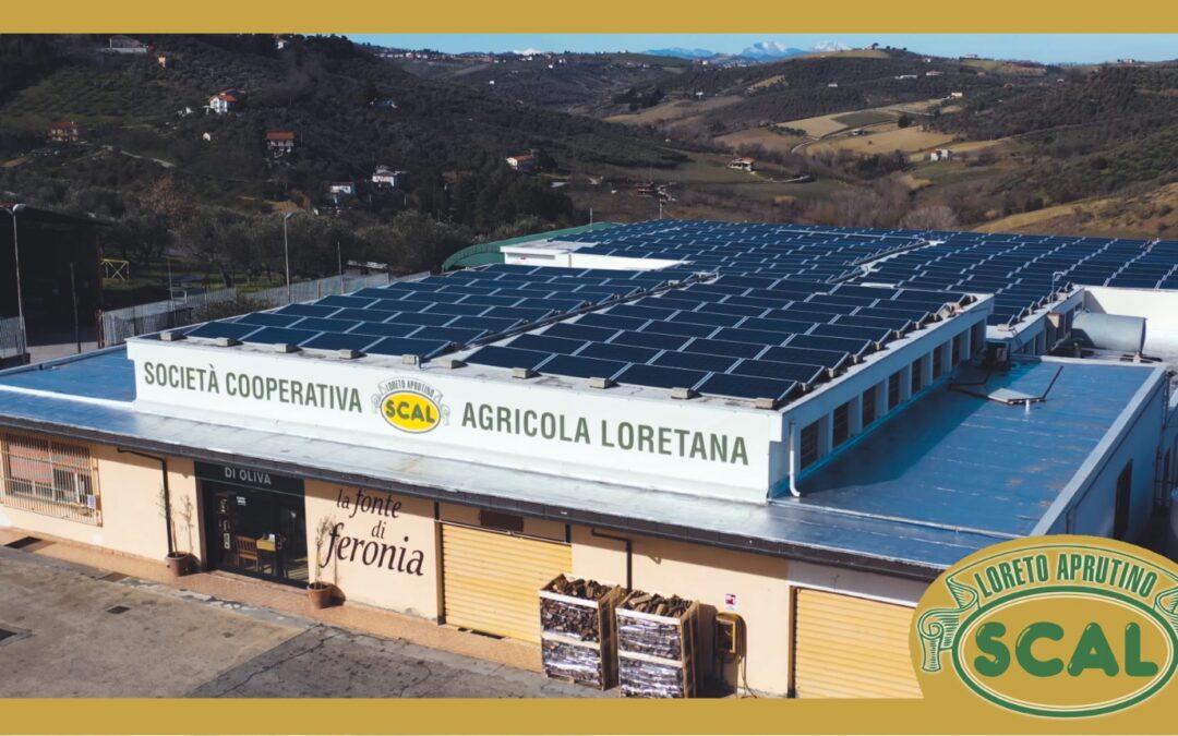 LORETO APRUTINO: LA SCAL, FRANTOIO SOCIALE ED EMPORIO DI QUALITÀ, 54 ANNI DI STORIA SUL TERRITORIO