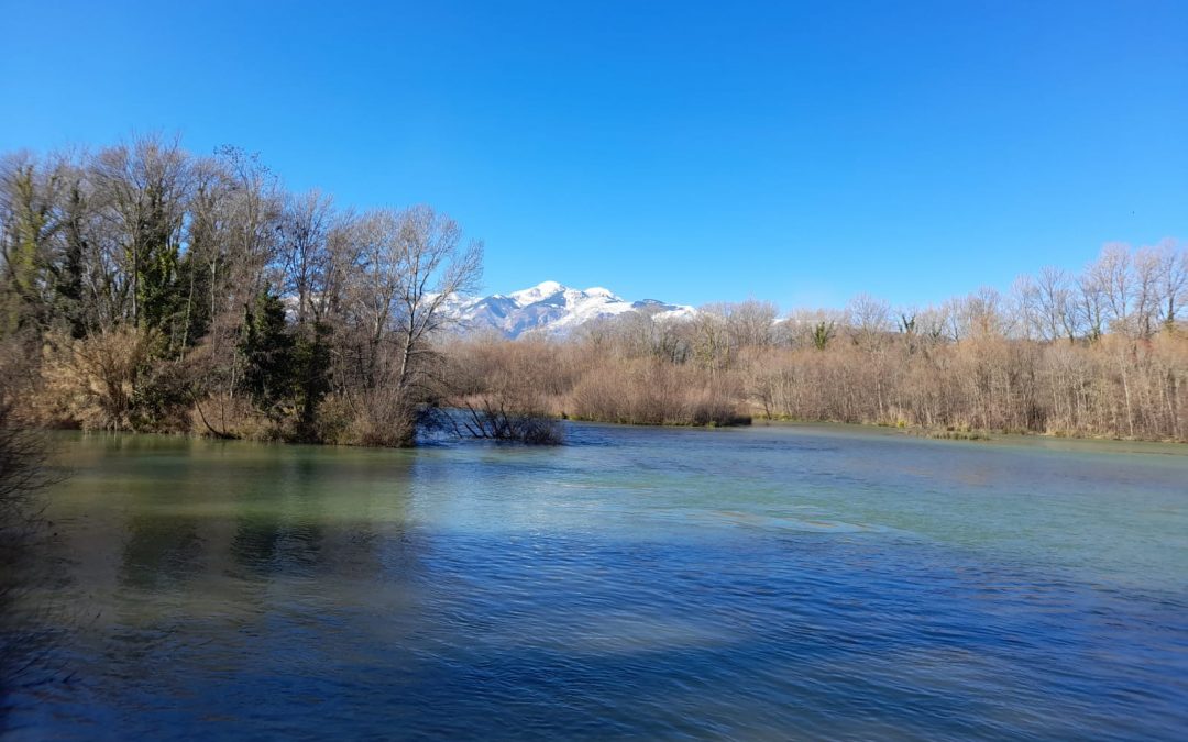 ABRUZZO: WWF, GIORNATA MONDIALE ZONE UMIDE  A Penne un’isola artificiale nel lago