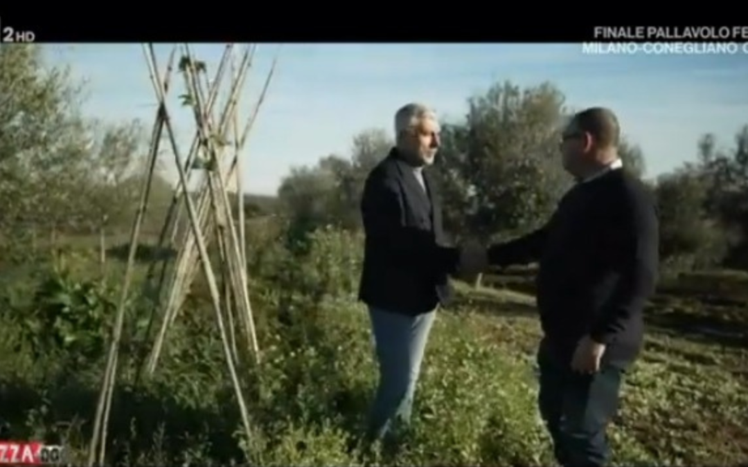 GAL TERRE PESCARESI: IL TONDINO DEL TAVO, UNA PERLA TRA 40 MILA VARIETÀ  Su Rai 2, a Pizza Doc, ne parlano Gianluca Buccella e Alessio Marini